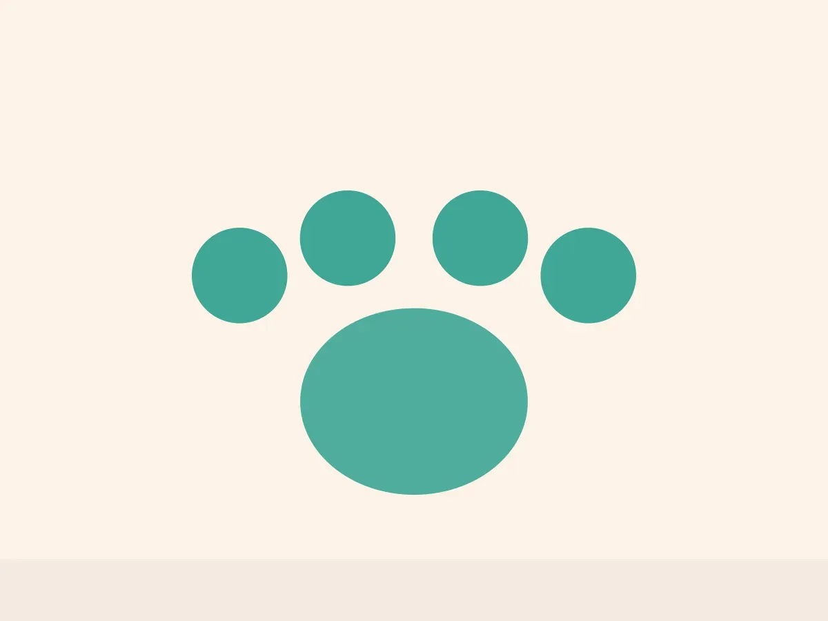 Placeholder image representing a grooming station